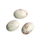 Lemon Chrysoprase Oval Cabochon Both Side Polished AAA Grade Size- 18x25 MM 5 Pcs Weight 115 Cts