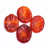 Carnelian Oval Shape Carvings AAA Grade Both Side Polished Size 30x40 mm 5 Pcs Weight 207 Cts