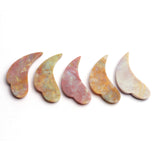 Fancy Jasper Fancy Shape Carving Top Drilled Both Side Polished AAA Grade Size 60x20x7 mm 2 Pcs Weight 120 Cts
