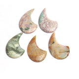 Fancy Jasper Fancy Shape Top Drilled Both Side Polished AAA Grade Size 46x34x7 mm 2 Pcs Weight 140 Cts