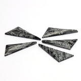 Snowflake Obsidian Fancy Shape Both Side Polished AAA Grade Size 30x70x6 mm 2 Pcs Weight 102 Cts