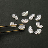 MOP (Mother of Pearl) Fancy Carving Drilled Both Side Polished AAA Grade 10 Pcs